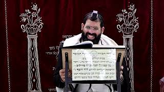 זבחים דף ל"ד ע"ב ¤ הרב נתנאל אברז'ל ¤ בית הכנסת "בית מרדכי" (מוסדות תורת דוד) - התמונה מוצגת ישירות מתוך אתר האינטרנט יוטיוב. זכויות היוצרים בתמונה שייכות ליוצרה. קישור קרדיט למקור התוכן נמצא בתוך דף הסרטון