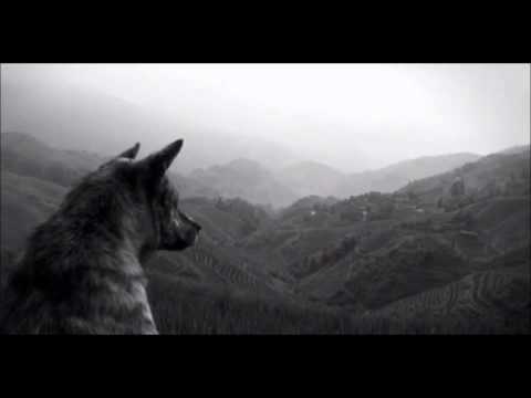 The Joy Formidable - Wolf's Law (Full Album) (HDQ)