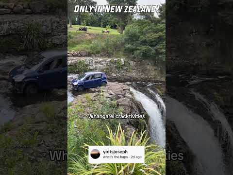 Only In Nz: Cracktivities