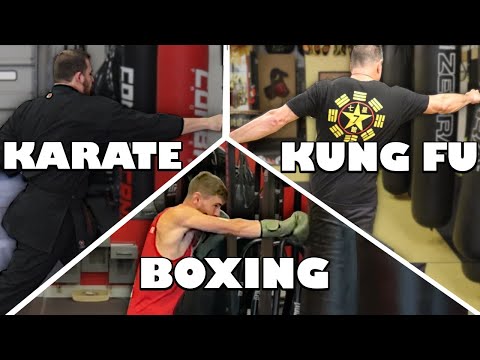 How Different Martial Arts STRAIGHT PUNCH | Boxing Karate Kung Fu