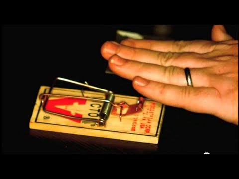 New High Speed Camera, Road Trip & a Mousetrap Challenge | Smarter Every Day 56