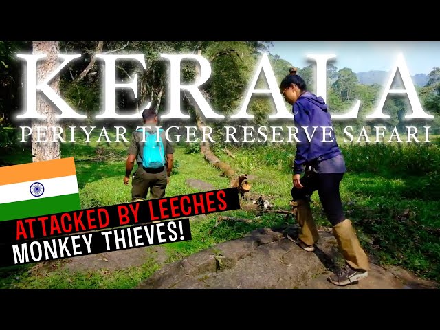 Video pronuncia di Periyar in Inglese