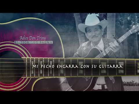 EL TIGRILLO PALMA -  Lyrics Se Fue Don Triny  Lyric video