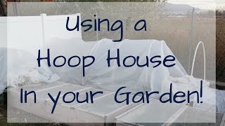 Using a Hoop House to Extend your Garden Season