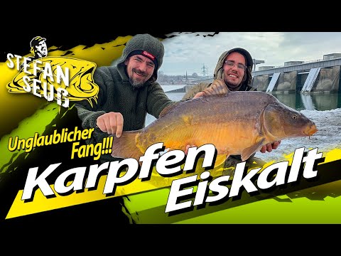 Carp and Pike Fishing in Ice and Snow | Incredible Catches!!! | Baitfish and Boilies in Winter