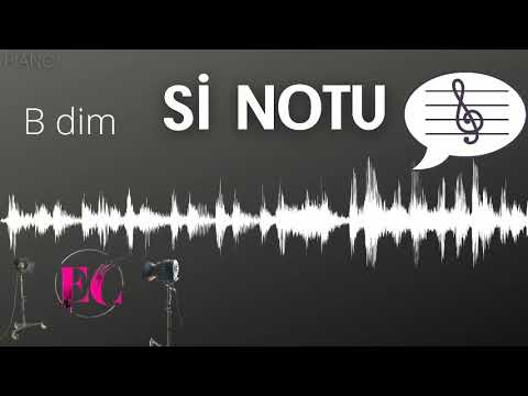 SI NOTU . PIANO NOTU (B dim)