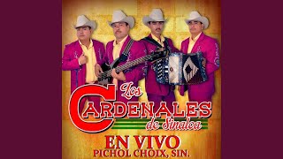 Corrido Mario Portillo (En Vivo)