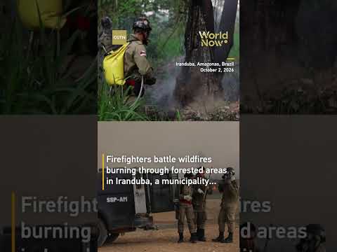 Firefighters battle wildfires in Brazil's Amazon