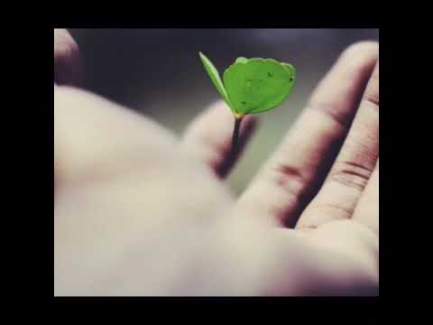 Poésie du printemps - Renouveau