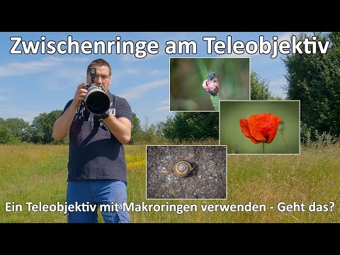 Zwischenringe - Makroringe am Teleobjektiv - Geht das? - Sony A7 IV SEL200-600G - Meike - Makro