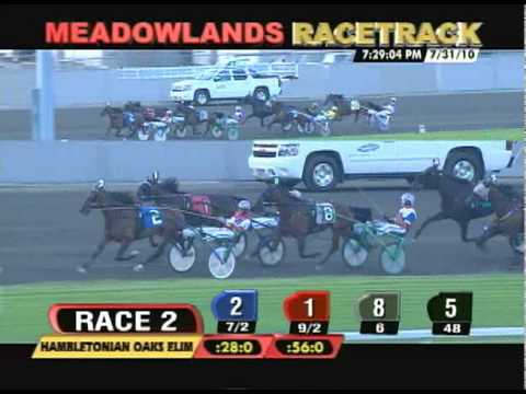 2010 Hambletonian Oaks Elimination - Springtime Volo & George Brennan