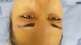 Eyebrows Arches & Tails Restoration Microblading by El Truchan @ Perfect Definition