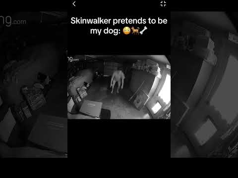 Skinwalker Pretends to be Dog