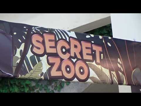 Secret Zoo by Dino Island Ada di Benmall