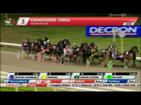 Harness Racing- Cranbourne- Race 3- June 2, 2016