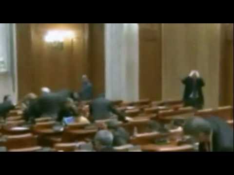 Kaptein på Skuta med Arise2 - Leo (Sørsia Gerilja)