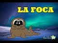 Características De La FOCA Para Niños La Vida De Las Focas Marinas