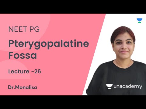 Pterygopalatine Fossa | NEET PG 2021 | Let's Crack NEET PG  | Dr. Monalisa