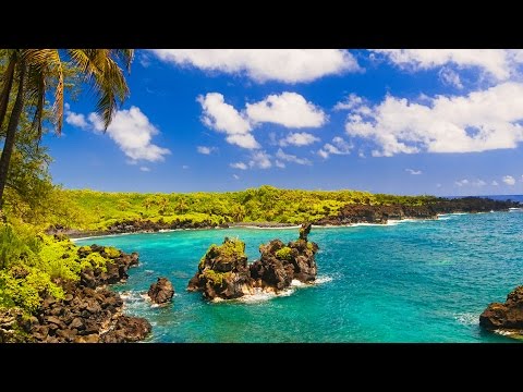 Maui Hawaii Top Things To Do | Viator Travel Guide