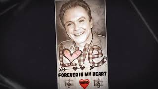DAVID CASSIDY &amp; THE PARTRIDGE FAMILY  “WALKING IN THE RAIN”