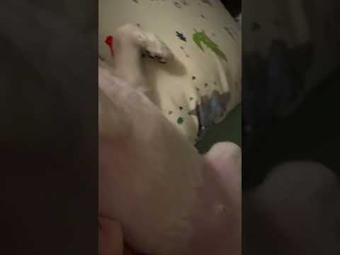 夢到什麼