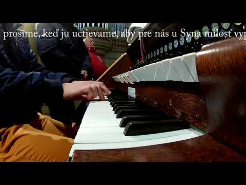 JKS 378 - Srdce pravde poddávaj (Obetovanie Pána)