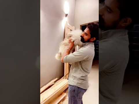 #satindersartaaj #punjabisong #latestpunjabisongs #beetjaniya @Satinder-Sartaaj #dog #love