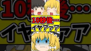 10秒後･･･チャーハンが嫌で泣いてしまう猫！？ #shorts #博麗霊夢 #ゆっくり茶番劇