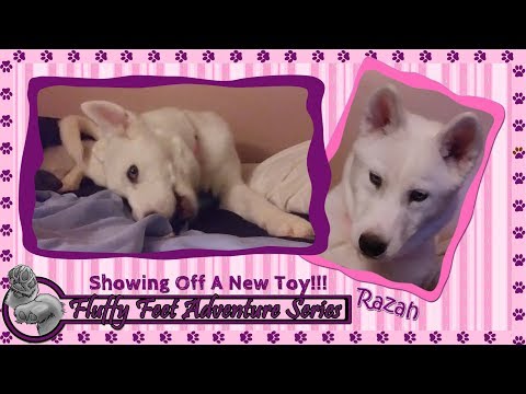 Razah: Showing Off A New Toy!