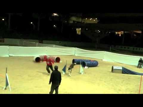 B.A.C.K. 15.01.2011 Thomas + Duncan Finale