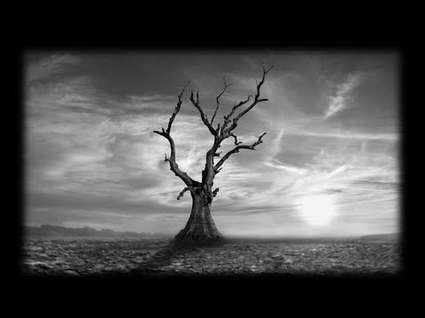 Aj keby nekvitol fík