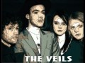 The Veils - More Heat Than Light