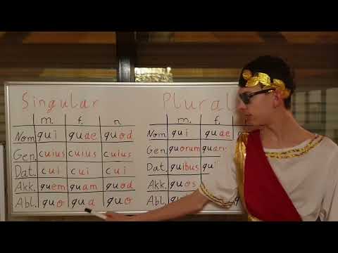 Die Formen von qui, quae, quod (= welcher, welche, welches).