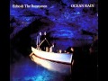 echo & the bunnymen / all you need is love