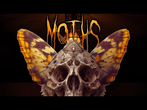 GrewSum + Locksmith - Moths