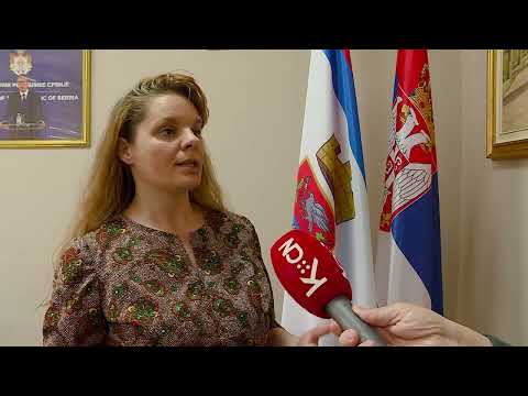 Sistem jedinstvenog upravnog mesta