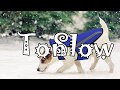SlowTon Dog Jacket Winter Dog Coat Keep Warm For Small Medium Large Dogs