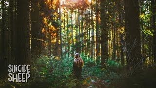 Galantis - Runaway (U &amp; I) (Speaker of the House Remix)