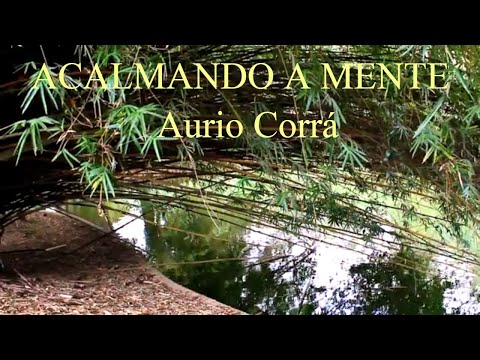 DESACELERANDO PENSAMENTOS - AURIO CORRÁ PARTE2, MEDITAÇÃO, HARMONIZAÇÃO, PAZ INTERIOR, AURA, ACALMAR