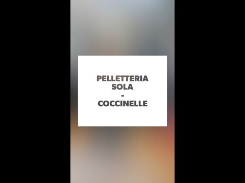 COLLEZIONE PE21 COCCINELLE - PELLETTERIA SOLA