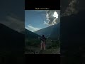 Lost Capturer Shortvideo