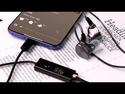 Transform Your Earphones Into Audiophile-Grade Sound With The RAPTGO MR-10 TYPE-C Cable!