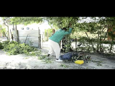 Village Idiot 2 trailer