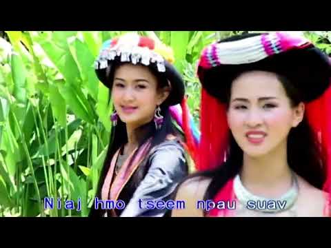 Paj Zaub Vwj - Ceeb Tsheej Toj Siab [Official Lyrics Video]