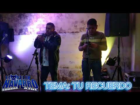 TU RECUERDO PRIMICIA - EL GATO FELIX NAVARRO SOMBRA AZUL 2021