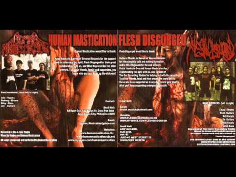 Human Mastication - Putridity of Molested Birth Canal