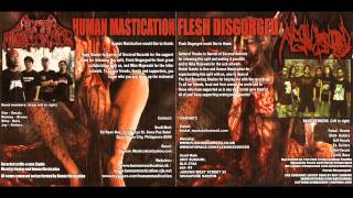 Human Mastication - Putridity of Molested Birth Canal