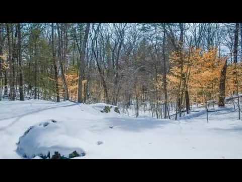 11 Bridle Path, Wayland, MA - Listed by Amy Mizner, Sheryl Simon