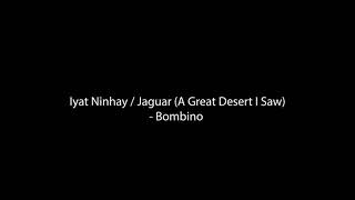 Iyat Ninhay / Jaguar (A Great Desert I Saw) - Drum Cover