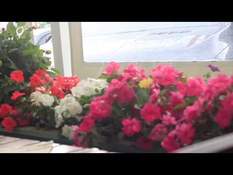 Travel Diaries : Austria